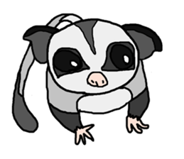 Little Sugar Glider sticker #4065274