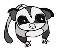 Little Sugar Glider sticker #4065274