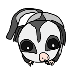 Little Sugar Glider sticker #4065275