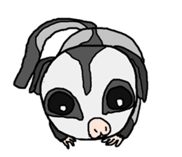 Little Sugar Glider sticker #4065275