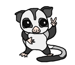 Little Sugar Glider sticker #4065276