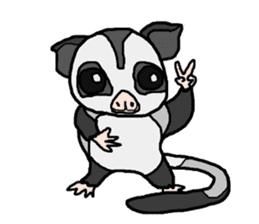 Little Sugar Glider sticker #4065276