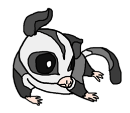 Little Sugar Glider sticker #4065277