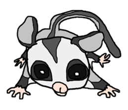 Little Sugar Glider sticker #4065279