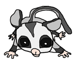 Little Sugar Glider sticker #4065279