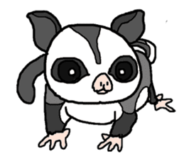 Little Sugar Glider sticker #4065280