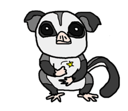 Little Sugar Glider sticker #4065281