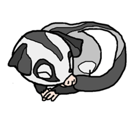Little Sugar Glider sticker #4065283