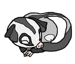 Little Sugar Glider sticker #4065283
