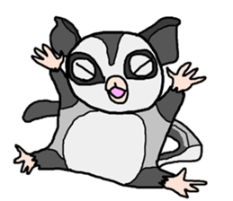 Little Sugar Glider sticker #4065284