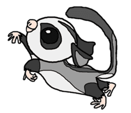 Little Sugar Glider sticker #4065286