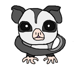 Little Sugar Glider sticker #4065287