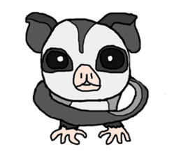 Little Sugar Glider sticker #4065287