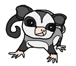 Little Sugar Glider sticker #4065288