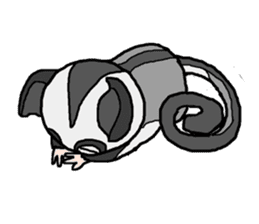 Little Sugar Glider sticker #4065289