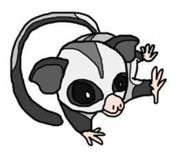 Little Sugar Glider sticker #4065290