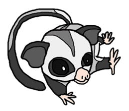 Little Sugar Glider sticker #4065290