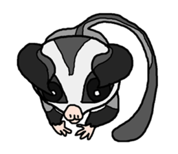 Little Sugar Glider sticker #4065292