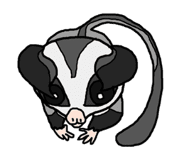 Little Sugar Glider sticker #4065292