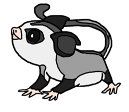 Little Sugar Glider sticker #4065294