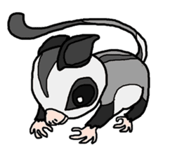 Little Sugar Glider sticker #4065295