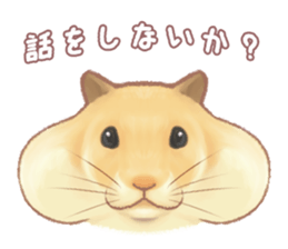 Lovely tiny hamsters and humorous hammy sticker #4069696