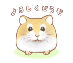 Lovely tiny hamsters and humorous hammy sticker #4069697