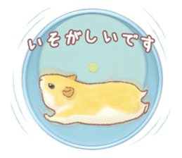 Lovely tiny hamsters and humorous hammy sticker #4069699