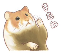 Lovely tiny hamsters and humorous hammy sticker #4069704