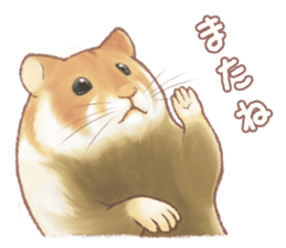 Lovely tiny hamsters and humorous hammy sticker #4069704