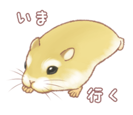 Lovely tiny hamsters and humorous hammy sticker #4069708