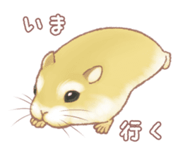 Lovely tiny hamsters and humorous hammy sticker #4069708
