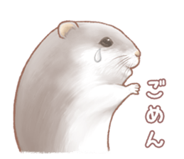 Lovely tiny hamsters and humorous hammy sticker #4069709