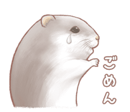 Lovely tiny hamsters and humorous hammy sticker #4069709