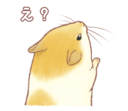 Lovely tiny hamsters and humorous hammy sticker #4069711