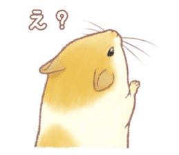 Lovely tiny hamsters and humorous hammy sticker #4069711