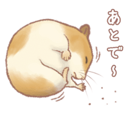 Lovely tiny hamsters and humorous hammy sticker #4069713