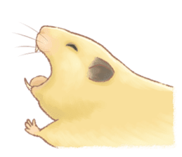 Lovely tiny hamsters and humorous hammy sticker #4069716