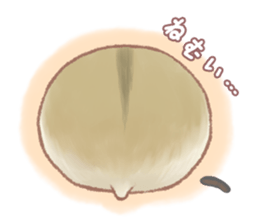 Lovely tiny hamsters and humorous hammy sticker #4069718