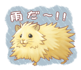 Lovely tiny hamsters and humorous hammy sticker #4069721