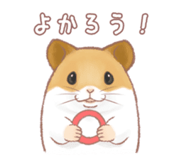 Lovely tiny hamsters and humorous hammy sticker #4069724