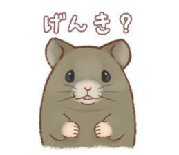Lovely tiny hamsters and humorous hammy sticker #4069726