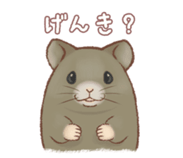 Lovely tiny hamsters and humorous hammy sticker #4069726