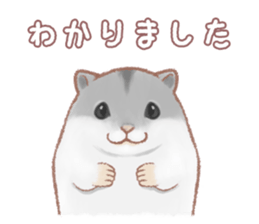 Lovely tiny hamsters and humorous hammy sticker #4069729