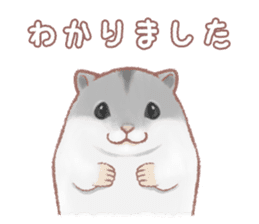 Lovely tiny hamsters and humorous hammy sticker #4069729