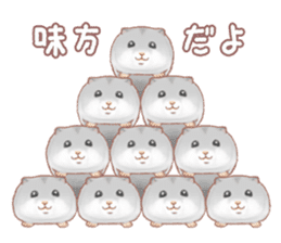 Lovely tiny hamsters and humorous hammy sticker #4069733