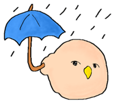 pretty small birds sticker #4071235