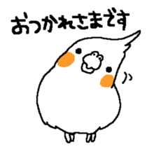 MARU the Cockatiel sticker #4072737