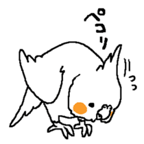 MARU the Cockatiel sticker #4072742