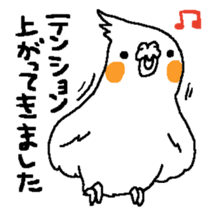 MARU the Cockatiel sticker #4072744